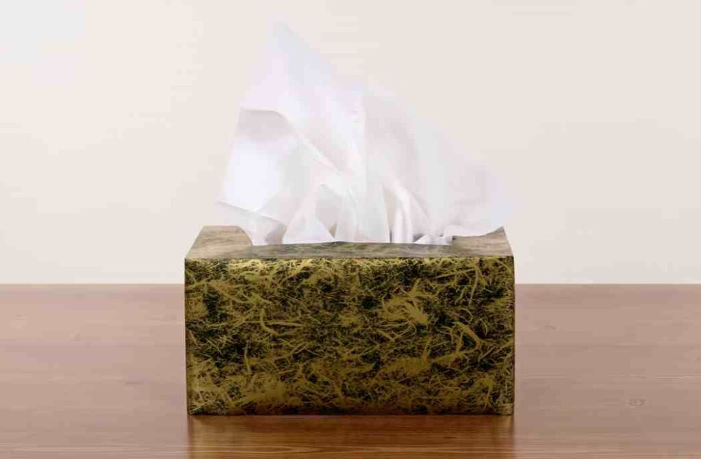 What Makes a Tissue Eco-friendly
